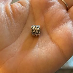 Pandora flower charm!